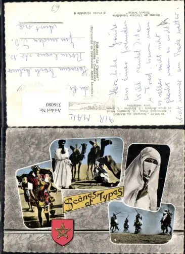 336080,Mehrbild Ak Marokko Volkstypen Kamele Wüste Rennen