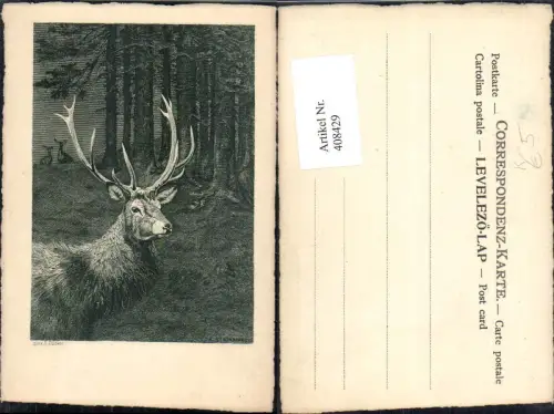 408429,Künstler Ak E. Döcker K. Schönbauer Hirsch Geweih Wild Wald Jagd