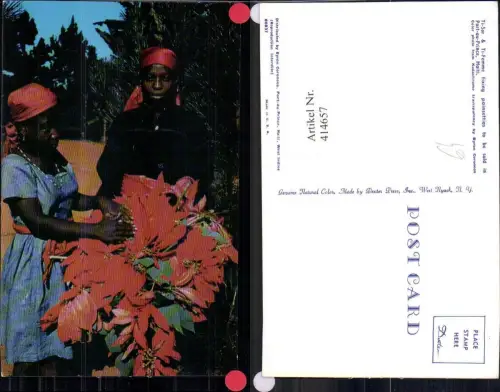 414657,Ti-Sor e Ti-Femme Port-au-Prince Haiti Frauen m. Weihnachtsstern Blumen Volkstypen Amerika