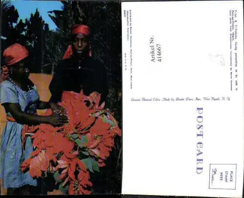 414667,Ti-Sor e Ti-Femme Port-au-Prince Haiti Frauen m. Weihnachtsstern Blumen Volkstypen Amerika