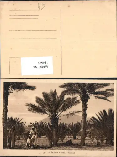 414688,Scenes et Types Palmiers Arabische Volkstypen Afrika Palmen