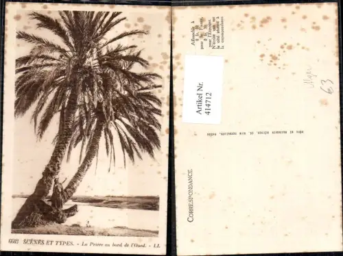 414712,Scenes et Types La Priere au bord de l Oued Palmen Algier Volkstypen Afrika