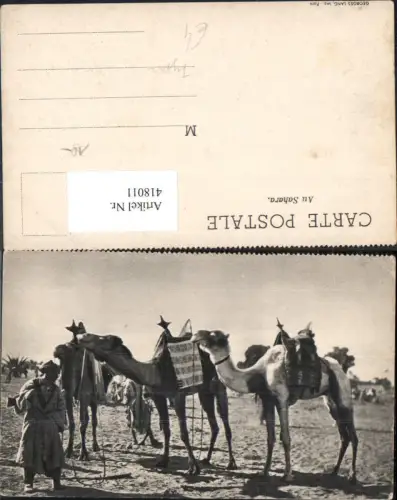 418011,Au Sahara Wüste Kamel Arabische Volkstypen Afrika