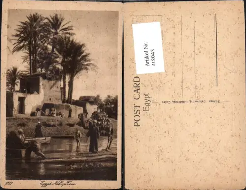 418043,Egypt Village Scene Ägypten Kamel Volkstypen Afrika