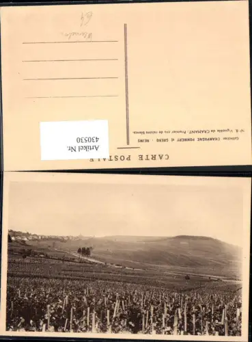 430530,Champagne Pommery et Greno Reims Vignoble de Cramant Weinberg Wein Alkohol