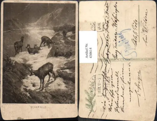 430614,Künstler Ak F. v. Pausinger Scharwild Gämse Jagd Wild