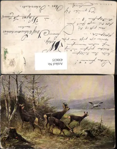 430635,Künstler Ak Rehe Rehböcke Ufer Birken Landschaft Jagd Wild
