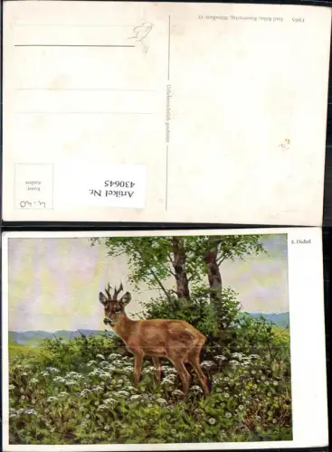 430645,Künstler Ak E. Dichtl Reh Rehbock Jagd Wild