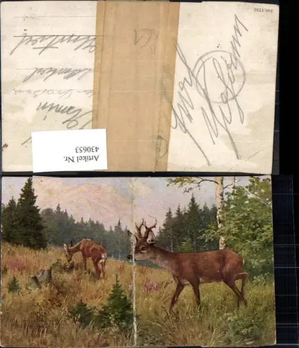 430653,Künstler Ak Reh Rehbock Jagd Wild