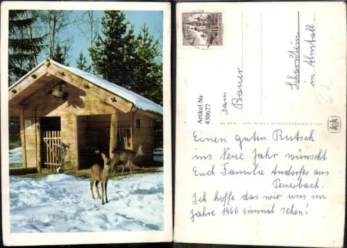 430677,Rehe Futterhütte Winter Schnee Jagd Wild pub SOS Kinderdorf