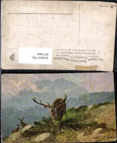 431344,Künstler Ak Müller jun. Röhrender Hirsch Wild Jagd