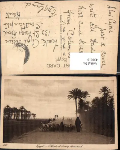 439010,Egypt Shepherd driving homeward Hirten Schäfer Ägypten Volkstypen Afrika pub Lehnert e Landrock