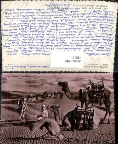 439011,Egypt Desert View Reiter Kamel Wüste Volkstypen Afrika