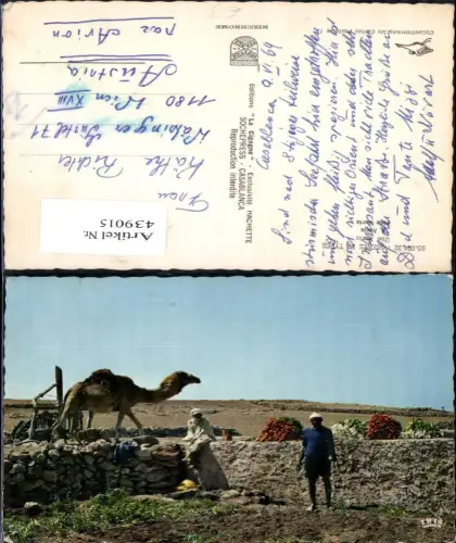 439015,Scenes et Types Une Noria Kamel Wasserrad Männer Bauern Volkstypen Afrika