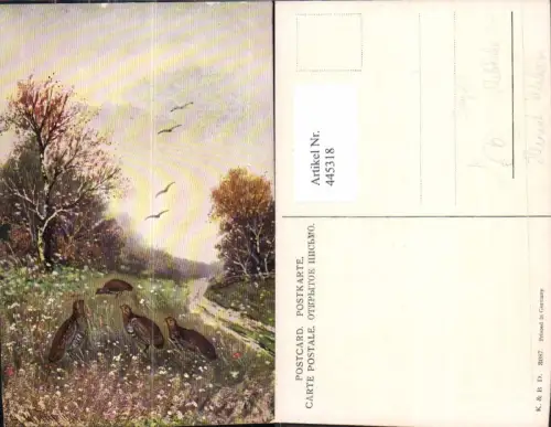 445318,Künstler Ak Heinrich Wertheim Jagd Rebhuhn