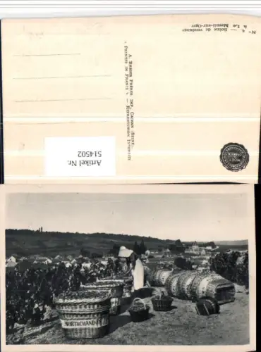 514502,Le Mesnil-sur-Oger Weinlese Weintrauben Trauben Wein