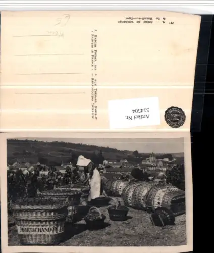 514504,Le Mesnil-sur-Oger Weinlese Weintrauben Trauben Wein