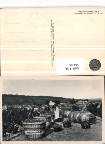 514505,Le Mesnil-sur-Oger Weinlese Weintrauben Trauben Wein