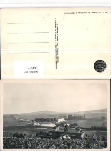 514507,Scene de vendange a Hautvillers Weinlese Weinreben Wein
