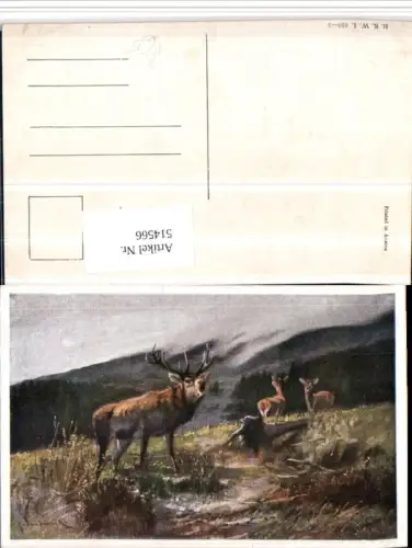 514566,Künstler AK Jagd Hirsch Rehe Tier pub B.K.W.I. 610/3