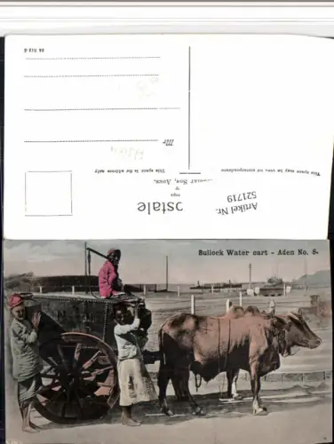 521719,Asia Aden Bullock Water cart Volkstypen Typen Rinder Gespann