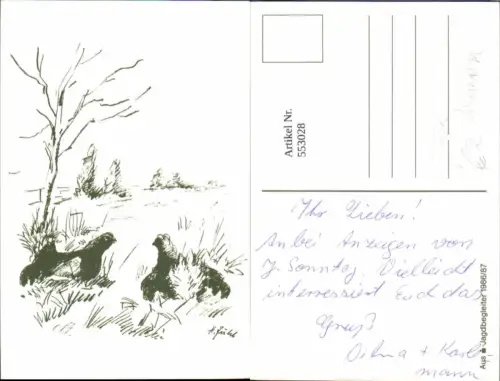 553028,Jagd Jäger Tiere Auerhahn