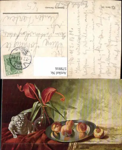 579916,Künstler Ak M. O. Bürger Pfirsiche Blumen Hund Stillleben Essen