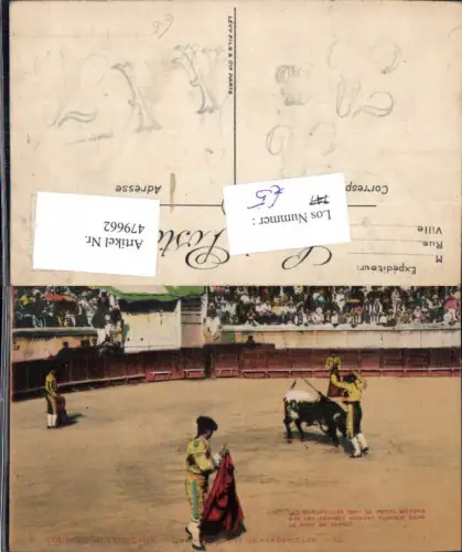 479662,Course de Taureaux Torero Stierkampf Stier