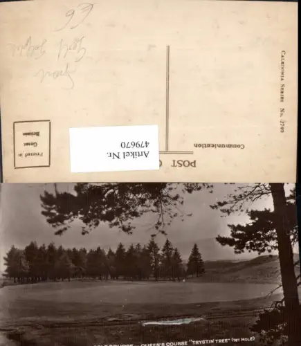 479670,Sport Golf Golfsport Gleneagles Golf Course Trystin Tree Golfplatz