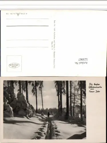 523967,Neujahr Sport Langläufer Wald Winterbild