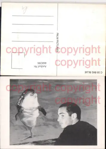 468286,Film Big Blue Im Rausch der Tiefe Filmszene Delfin