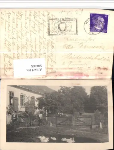 504265,Foto AK Haus Garten Zaun Fahrrad Rad Gänse