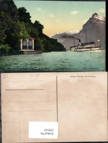 339524,Schiff Binnenschiff Dampfer b. Tellskapelle Vierwaldstättersee