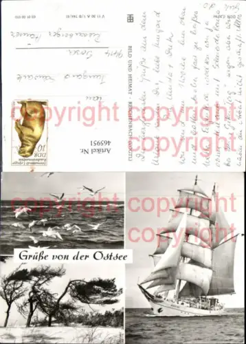 465951,Mehrbild Ak Segelschiff Wilhelm Pieck Ostsee Vögel