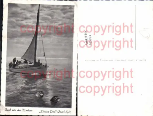 465973,Segelschiff Segelboot Robben Dikjen Dell Insel Sylt Nordsee