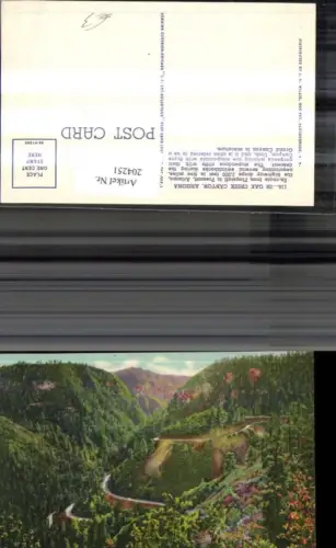 204251,Arizona In Oak Creek Canyon