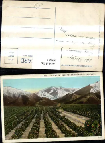 198663,California Old Baldy Berg from the Orange Groves Orangenplantage
