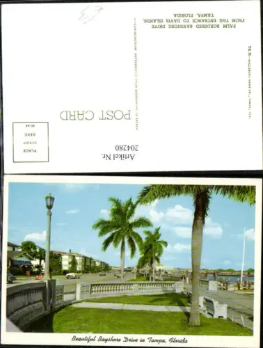 204280,Florida Palm bordered Bayshore Drive from the Entrance to Davis Islands in Tampa