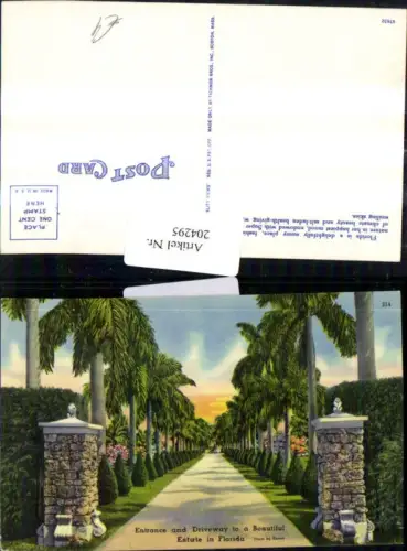 204295,Florida Entrance and Driveway to a Beautiful Estate Straßenansicht Allee
