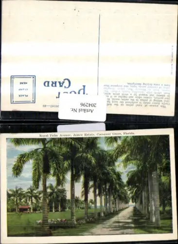 204296,Florida Cocoanut Grove James Estate Royal Palm Avenue Allee
