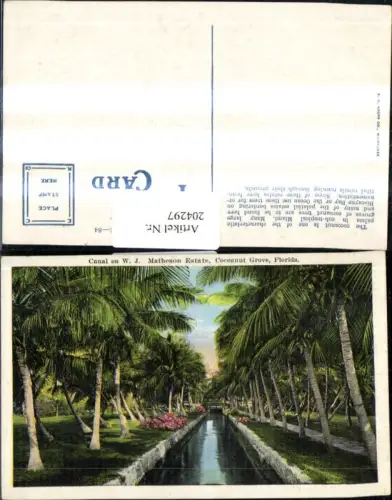 204297,Florida Cocoanut Grove Canal on W.J. Matheson Estate Palmen