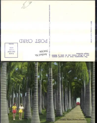 204304,Florida Stately Royal Palms Palmen