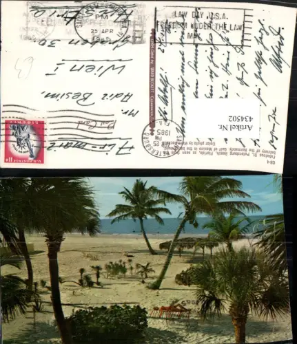 434502,Florida St. Petersburg Beach Strand Palmen