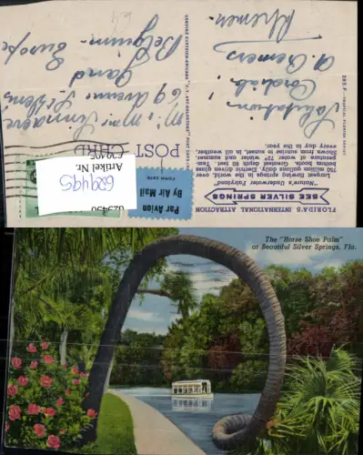 629495,The Horse Shoe Palm at Beautiful Silver Springs Florida