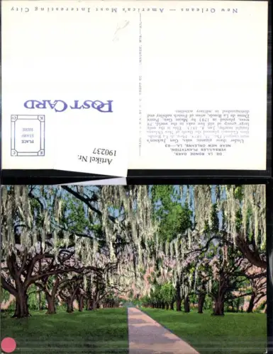 190237,Louisiana New Orleans Versailles Plantation De la Ronde Oaks