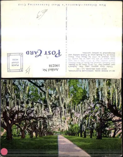 190238,Louisiana New Orleans Versailles Plantation De la Ronde Oaks
