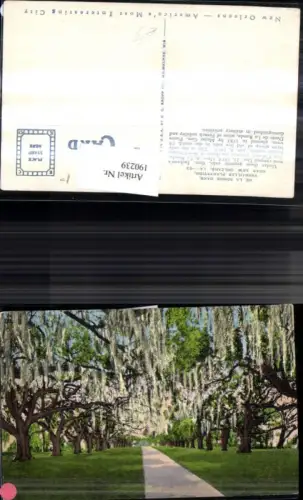 190239,Louisiana New Orleans Versailles Plantation De la Ronde Oaks