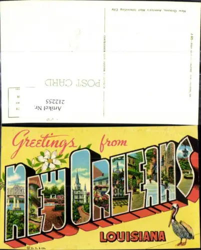 212255,Louisiana Greeting from New Orleans Vogel Pelikan