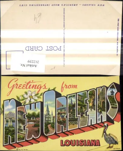 212259,Louisiana Greeting from New Orleans Vogel Pelikan