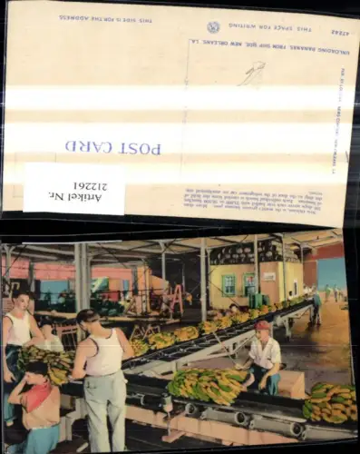 212261,Louisiana New Orleans Unloading Bananas from Ship Side
